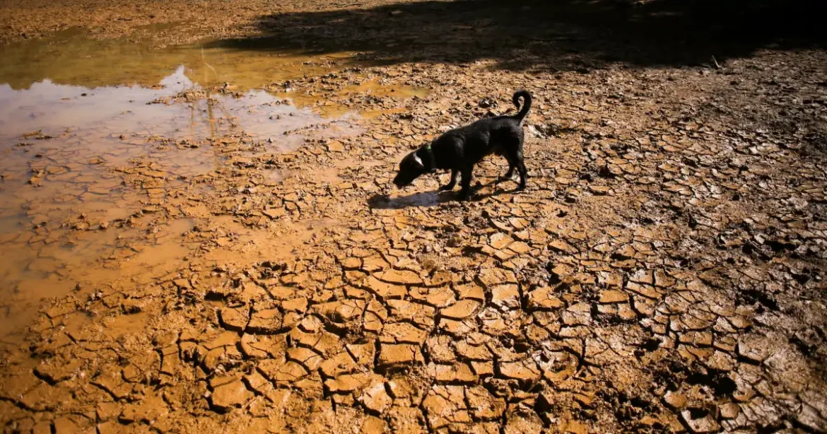 Ce este un „super El Niño” și cum va afecta vremea?