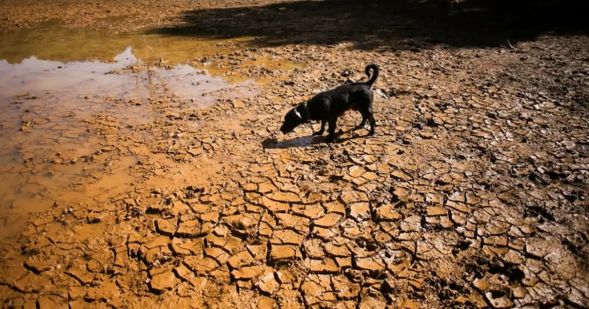 China se așteaptă la cel mai puternic super El Niño înregistrat vreodată anul acesta