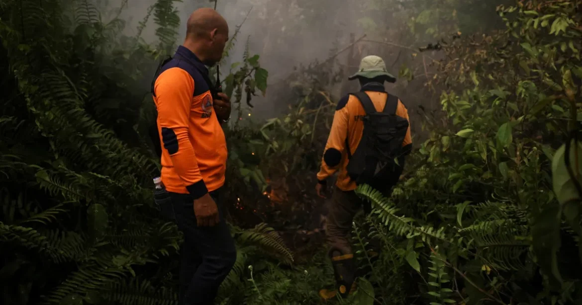 Grupuri indigene și civice dau în judecată pe Prabowo pentru incendiile de pădure