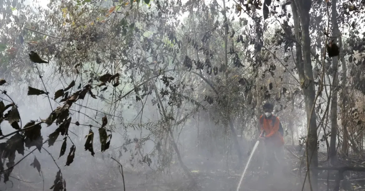 Indonezia va primi ajutor din partea Malaeziei pentru a stinge incendiile de vegetație