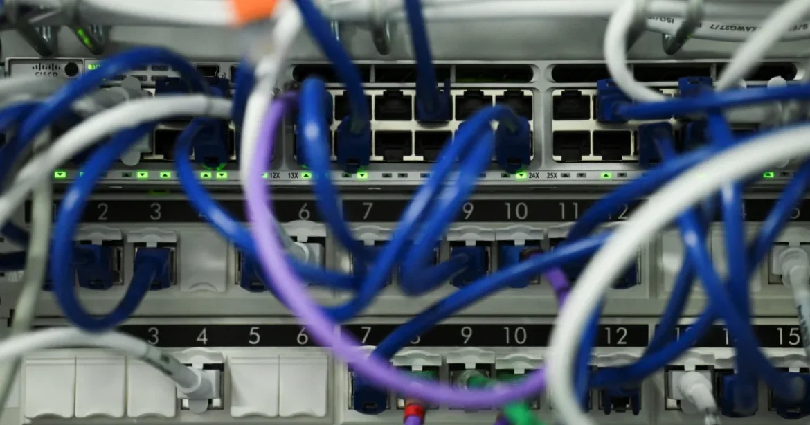 Site-urile guvernamentale, offline după o vulnerabilitate descoperită de AI